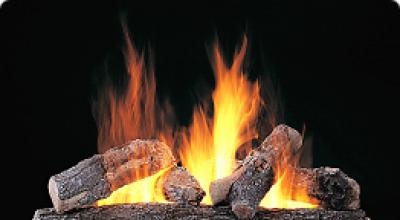 Древесная биомасса Теплота сгорания щепы